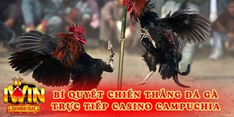 Bí quyết để kê thủ chiến thắng đá gà trực tiếp casino Campuchia