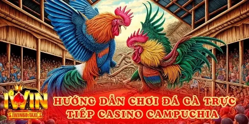 Hướng Dẫn Chơi Đá Gà Trực Tiếp Casino Campuchia 