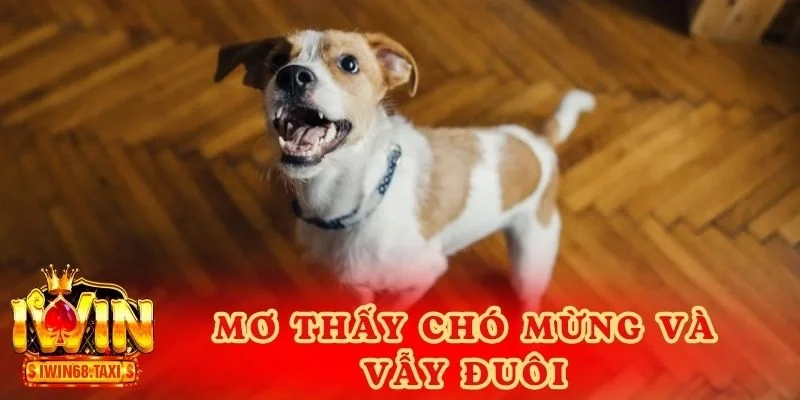 Mơ thấy chó mừng và vẫy đuôi